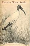 Florida's Wood Storks