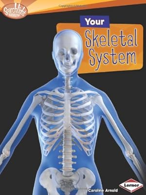 Your Skeletal System