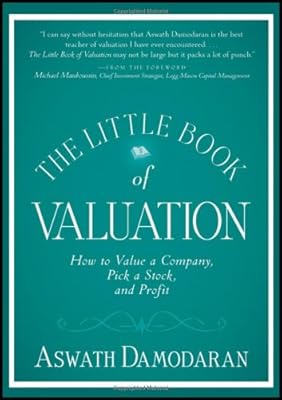 The Little Book of Valuation: How to Value a Company, Pick a Stock and Profit