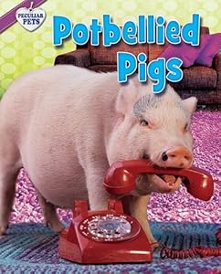 Potbellied Pigs