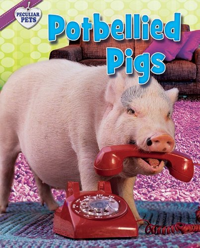 Potbellied Pigs by Natalie Lunis