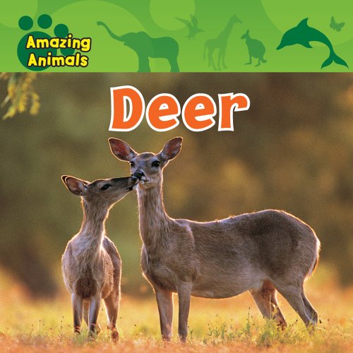 Deer by Christina Wilsdon