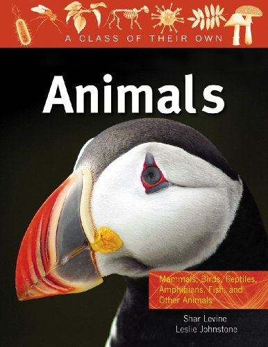 Animals: Mammals, Birds, Reptiles, Amphibians, Fish, and Other Animals by Shar Levine