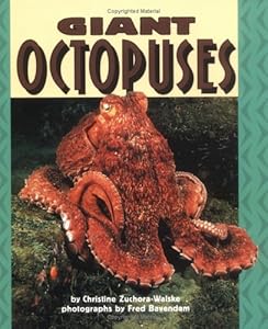 Giant Octopuses (Pull Ahead Books)