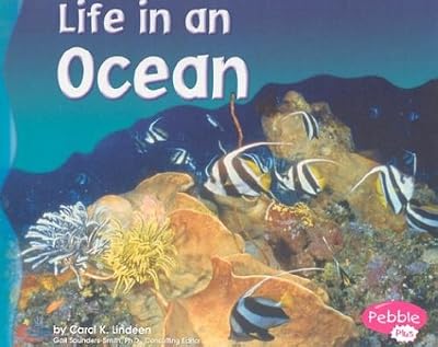 Life in an Ocean (Pebble Plus: Living in a Biome)