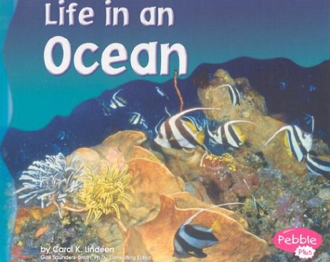 Life in an Ocean (Pebble Plus: Living in a Biome) by Gail Saunders-Smith