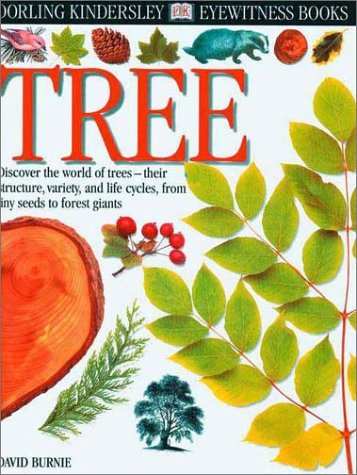 Eyewitness: Tree by David Burnie