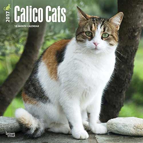 Calico Cats - 2017 Calendar 12 x 12in