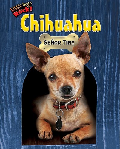 Chihuahua: Senor Tiny (Little Dogs Rock!) by Natalie Lunis
