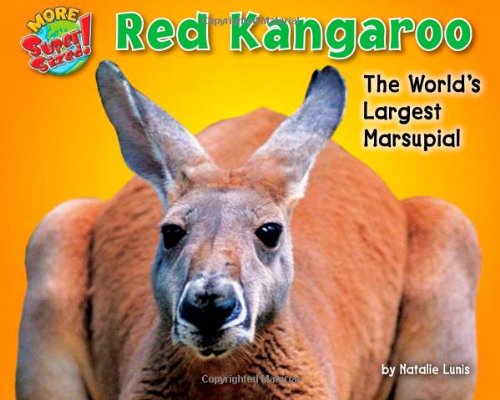 Red Kangaroo: The World's Largest Marsupial by Natalie Lunis