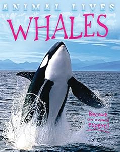 Whales