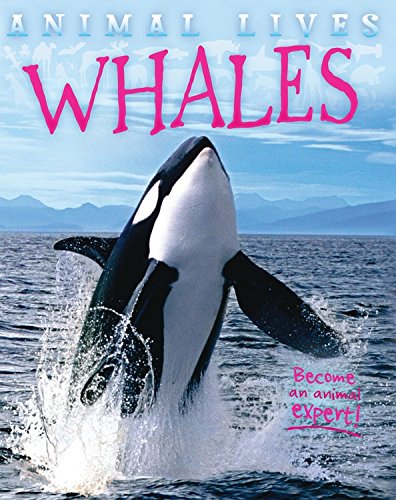 Whales by Sally Morgan