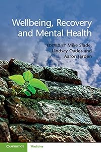 Wellbeing, Recovery and Mental Health by Mike Slade