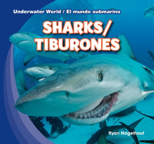 Sharks / Tiburones by Ryan Nagelhout