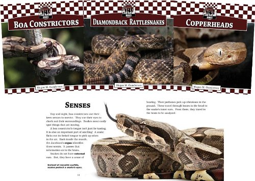 Snakes Set by Megan M. Gunderson