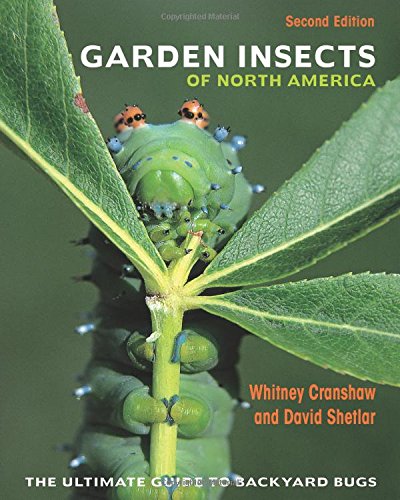 GARDEN INSECTS OF NORTH AMERICA: THE ULTIMATE GUIDE TO By Whitney Cranshaw VG