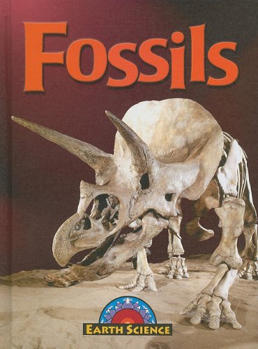 Fossils by Megan Lappi