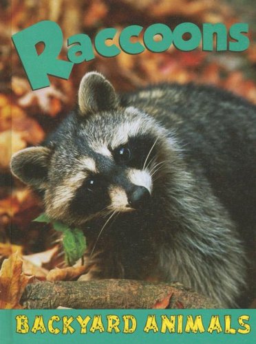 Raccoons by Jennifer Hurtig