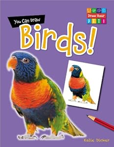 You Can Draw Birds!