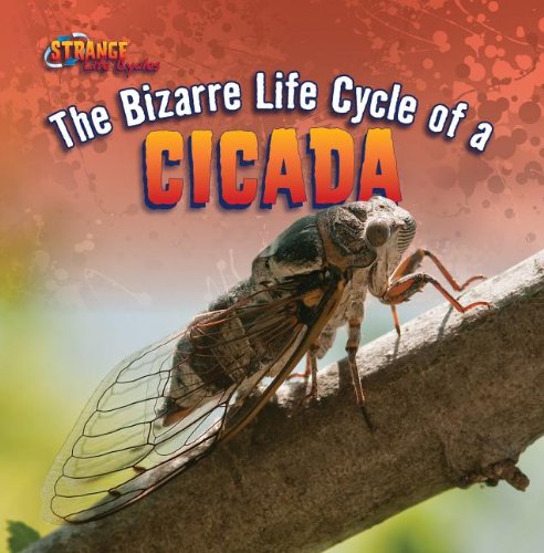The Bizarre Life Cycle of a Cicada (Strange Life Cycles (Gareth Stevens)) by Greg Roza