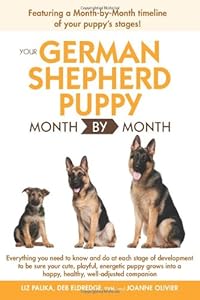 Your German Shepherd Puppy Month By Month
