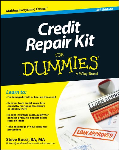 Credit repair kit for dummies by Steve Bucci