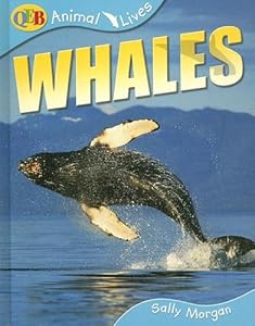 Whales (Qeb Animal Lives)