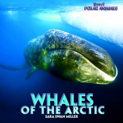 Whales of the Arctic