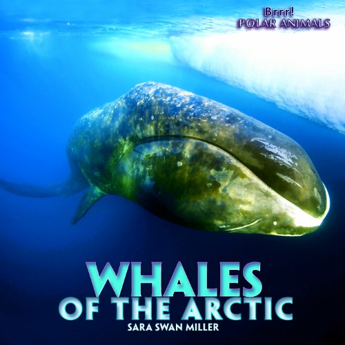 Whales of the Arctic by Sara Swan Miller