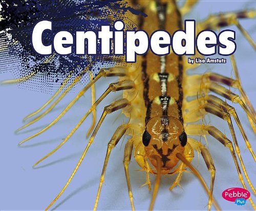 Centipedes by Lisa J. Amstutz
