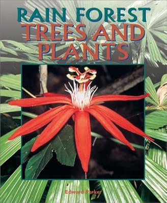 Trees and Plants (Rain Forest (Rain Tree))