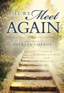 Till We Meet Again: Words of Comfort and Hope for the Grieving (Latter-day Saint Book on Death and Near Death Experiences 18) by Shersta Chabot