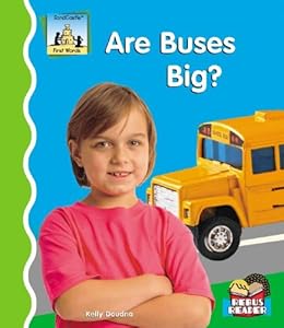 Are Buses Big?