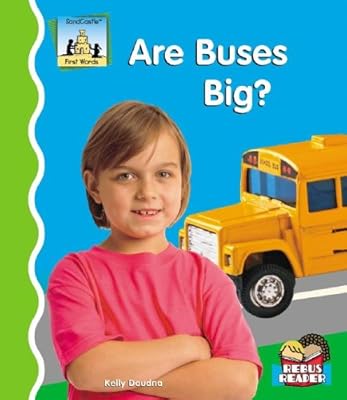 Are Buses Big?