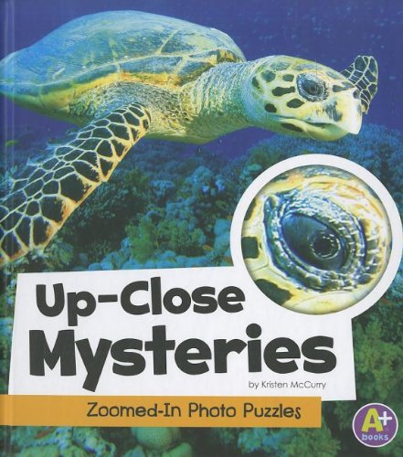 Up-Close Mysteries: Zoomed-In Photo Puzzles by Kristen McCurry