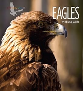 Eagles by Melissa Gish