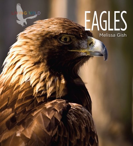 Eagles by Melissa Gish