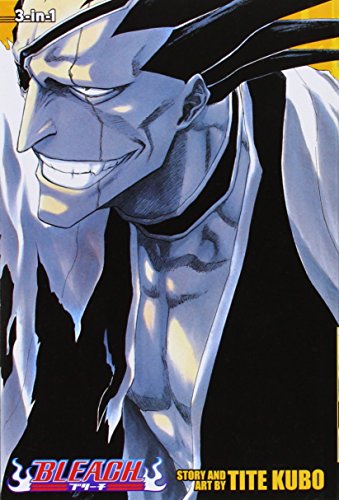 Bleach by Tite Kubo