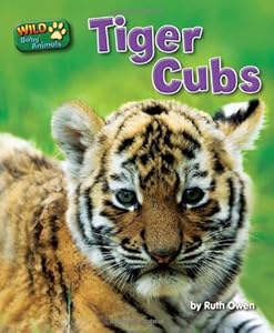 Tiger Cubs