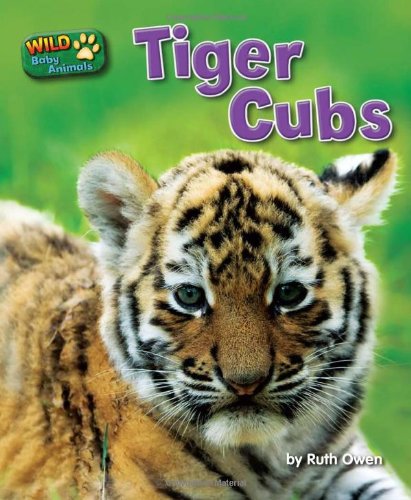 Tiger Cubs by Ruth Owen