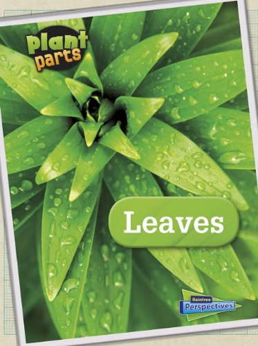 Leaves by Melanie Waldron