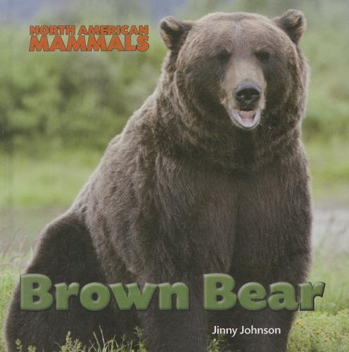 Brown Bear by Jinny Johnson