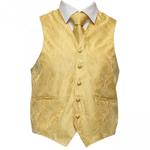 Amanti - Men's 4pc Set Paisley Tuxedo Vest Vest / Tie / Hanky / Bow Tie