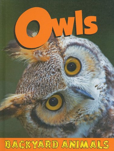 Owls by Nick Winnick