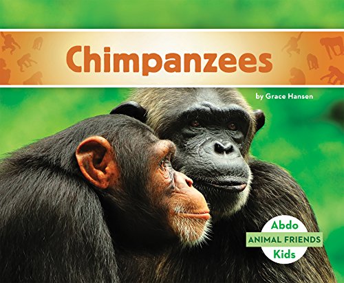 Chimpanzees by Grace Hansen
