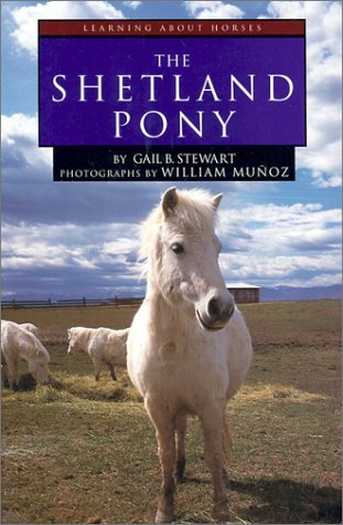 The Shetland Pony (Learning about Horses) by Gail B. Stewart