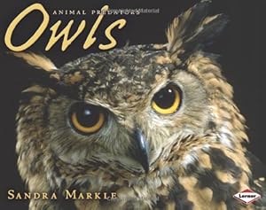 Owls (Animal Predators)