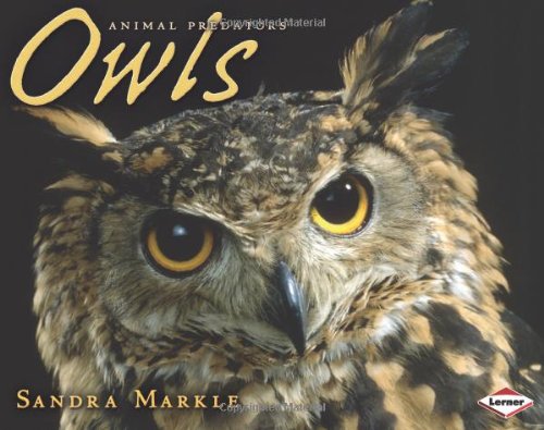 Owls (Animal Predators) by Sandra Markle