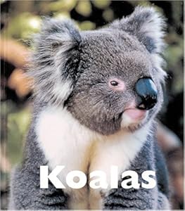 Koalas (Naturebooks: Mammals)