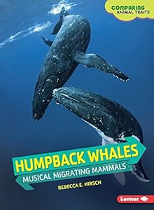 Humpback Whales: Musical Migrating Mammals